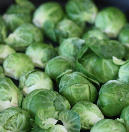 DaganF1BrusselsSprouts