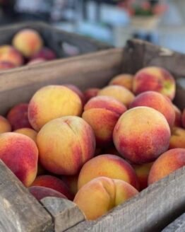 Peach Tree