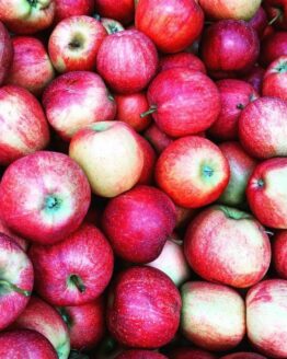Apple Tree
