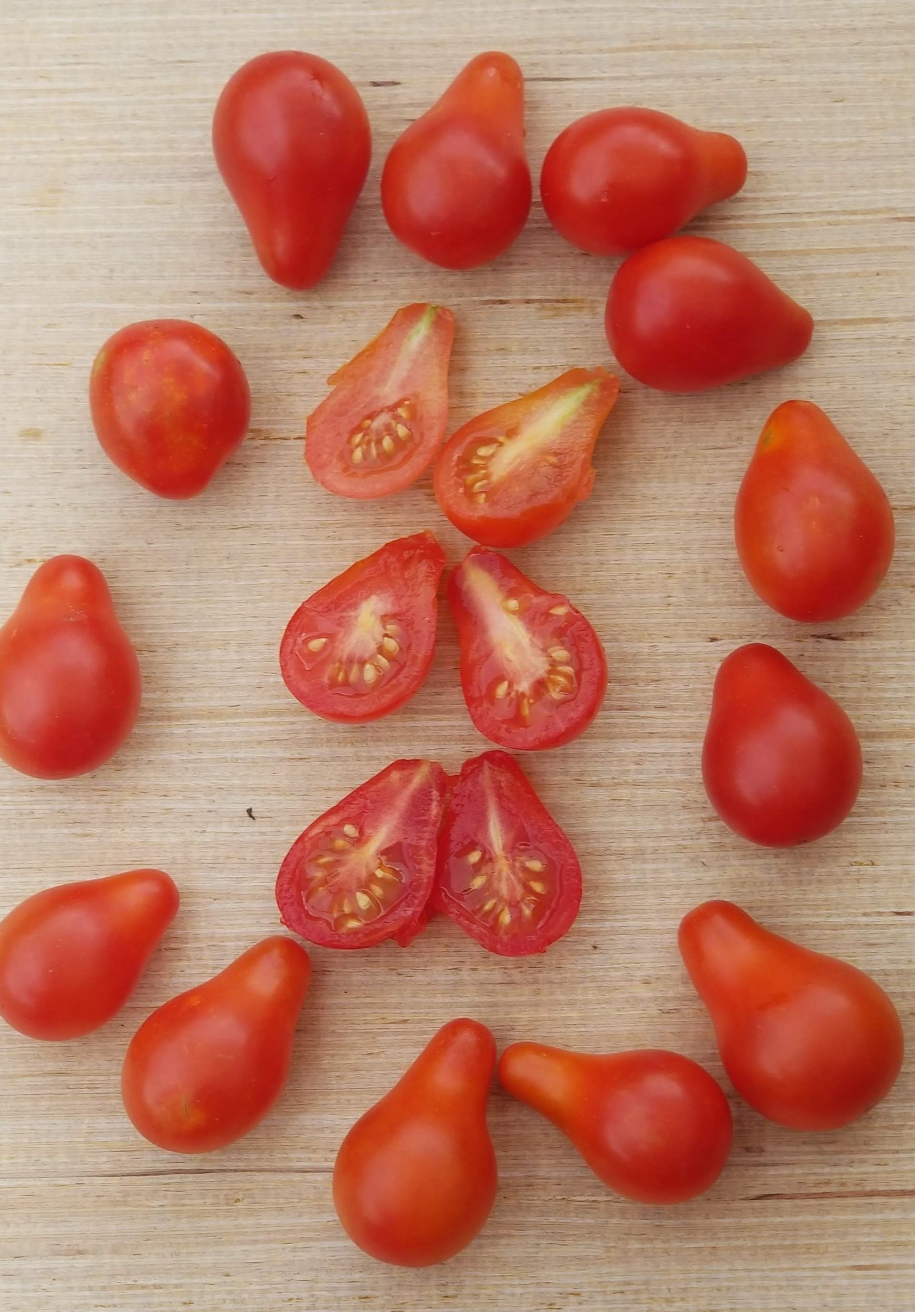 Red Pear Tomato Gaia Organics