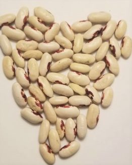 SoldierBeans