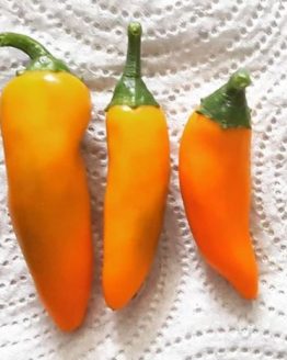 BulgarianCarrotHotPepper