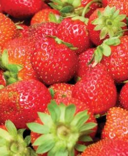 Charlotte Strawberry