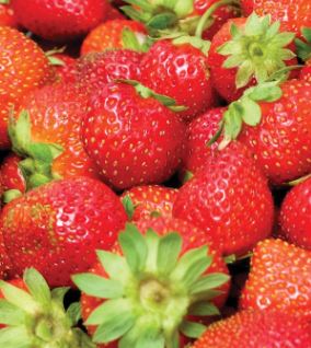 Charlotte Strawberry