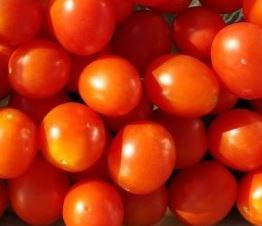 RedRossoSaladTomato RedRossoSaladTomato