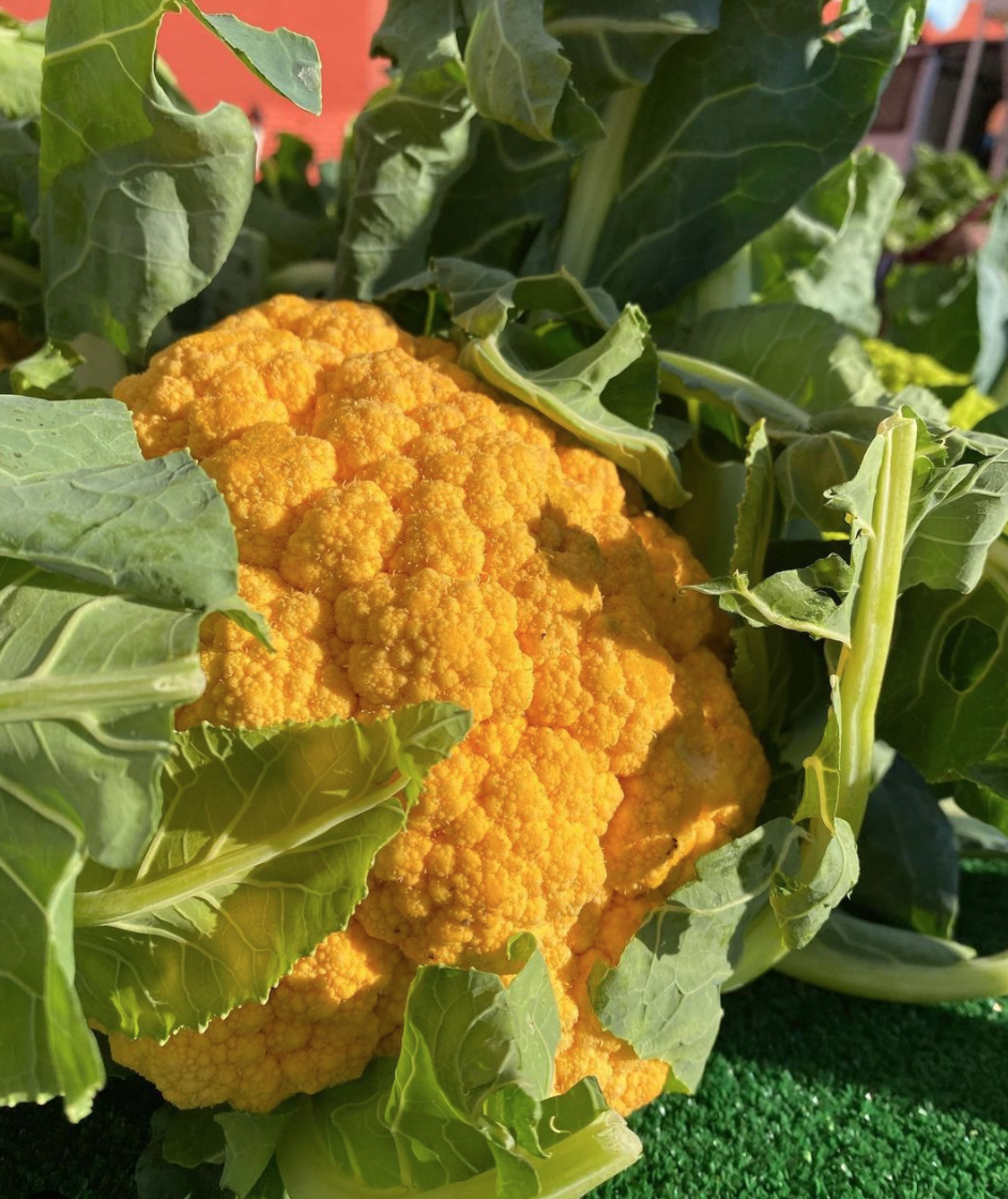 Tips on how to grow Cauliflower Gaia Organics