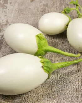 Japanese White Eggplant