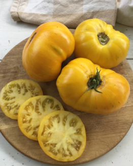 Yellow Radiance Tomato