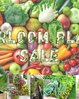 2024 Plant List ~