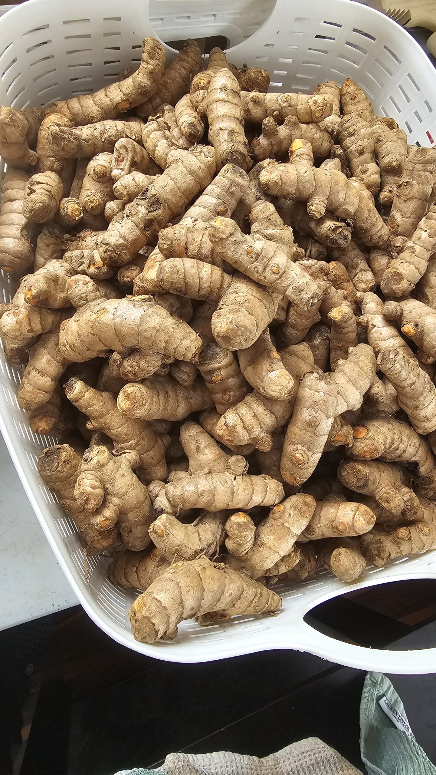 Native Sambha Turmeric - Gaia Organics