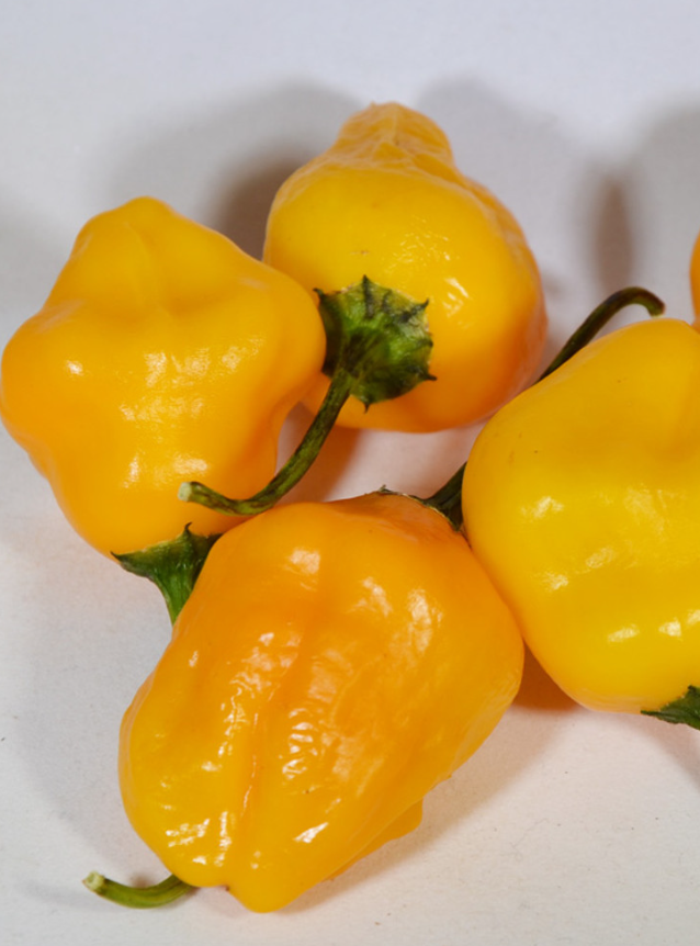 BerryAmarilloHotPepper