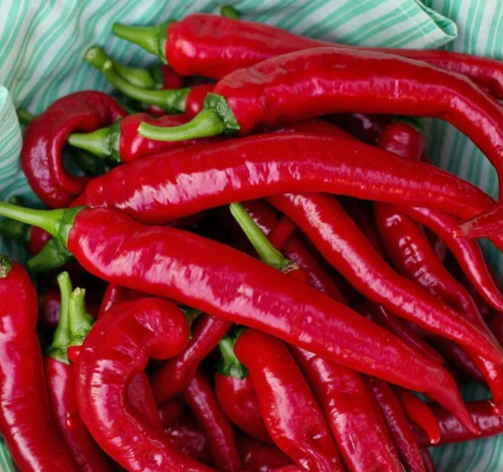 CayenneThickHotPepper
