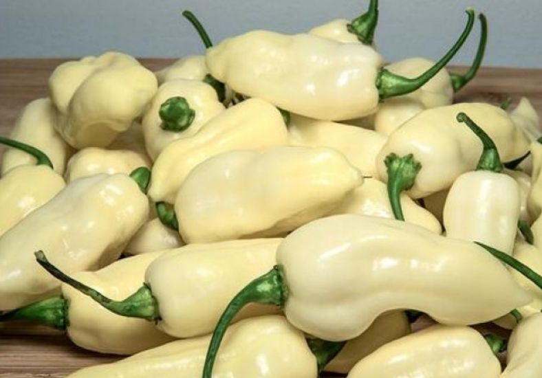 Fatalii WhiteHotPepper