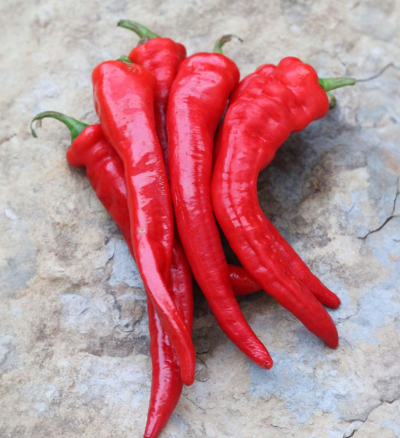 PortugueseLongHotPepper