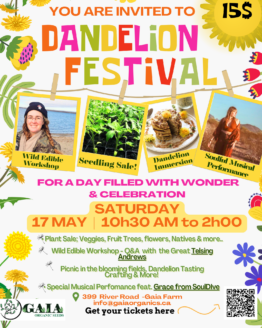 Dandelion