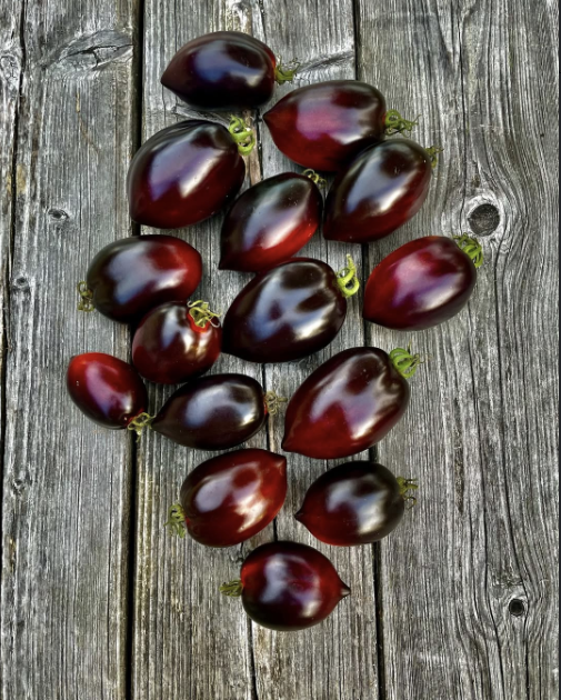 Midnight Roma Tomato