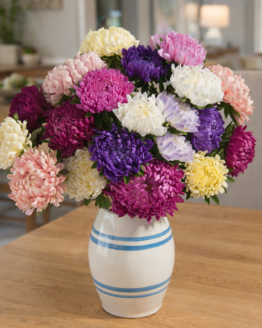 Tower Custom Mix Aster