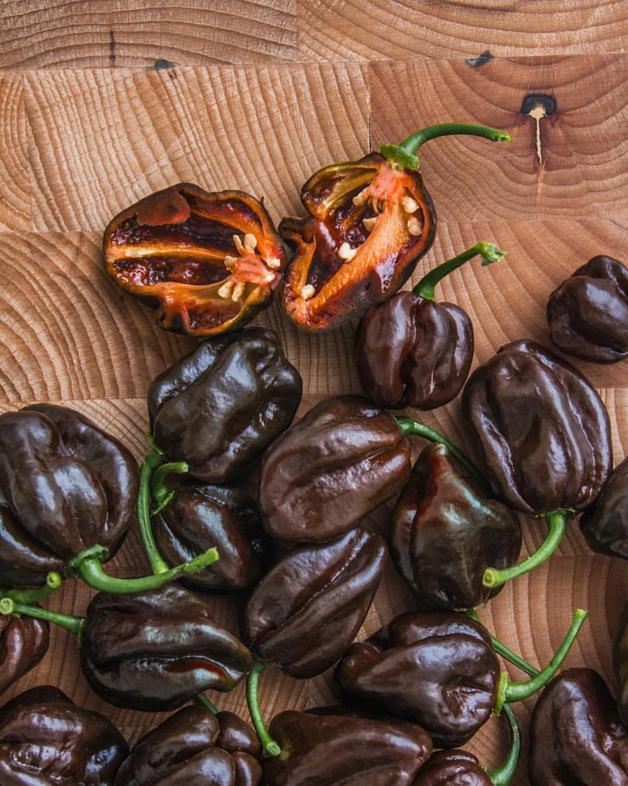 HabaneroChocolateHotPepper