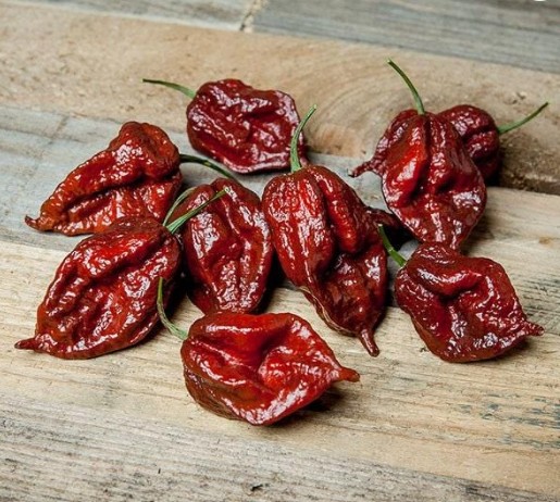 KrakenScorpionRed(BhutJolokiaXTrinidadScorpion)HotPepper