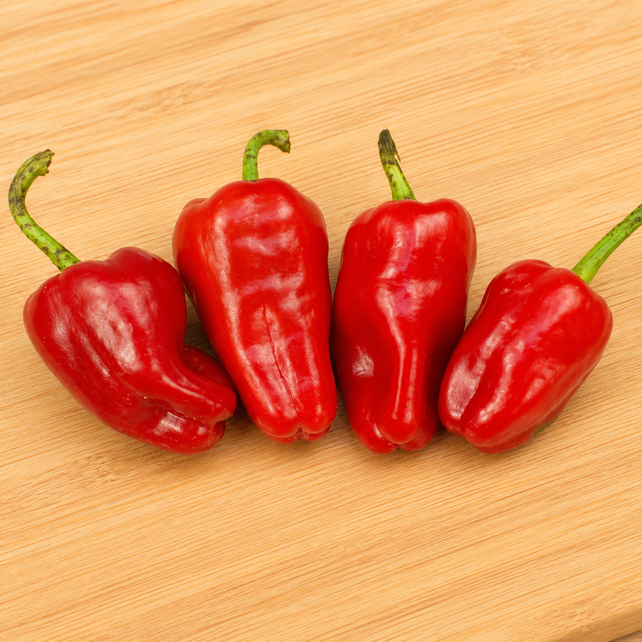 LeutschauerPaprikaHotPepper