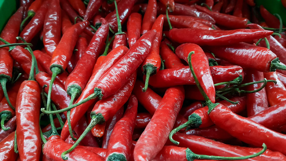 LombokHotPepper
