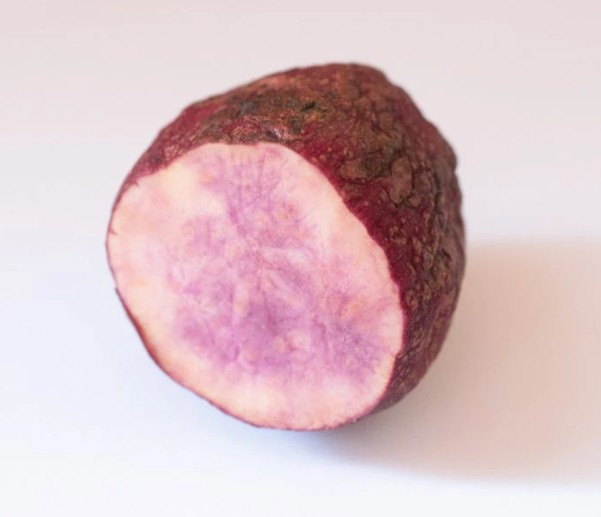 MagentaSweetPotato