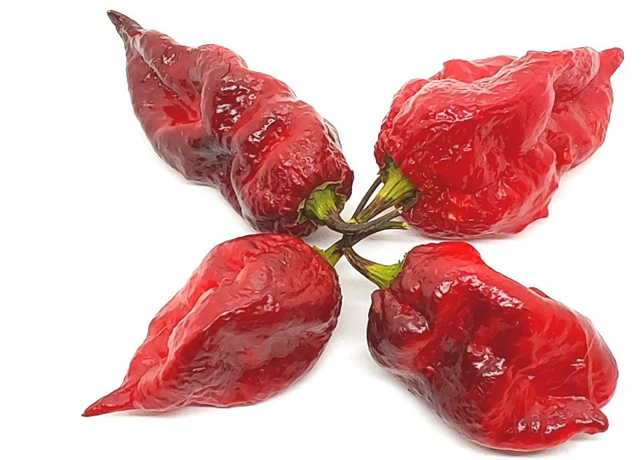 OrionLongHotPepper
