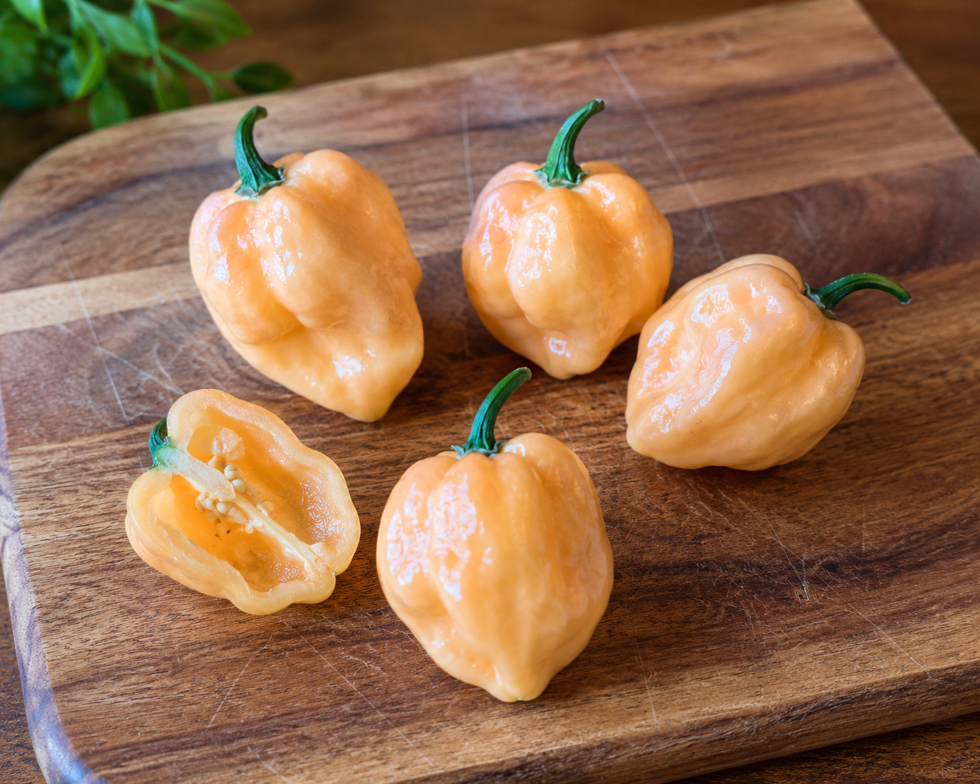 PeachJamaicanScotchBonnetHotPepper