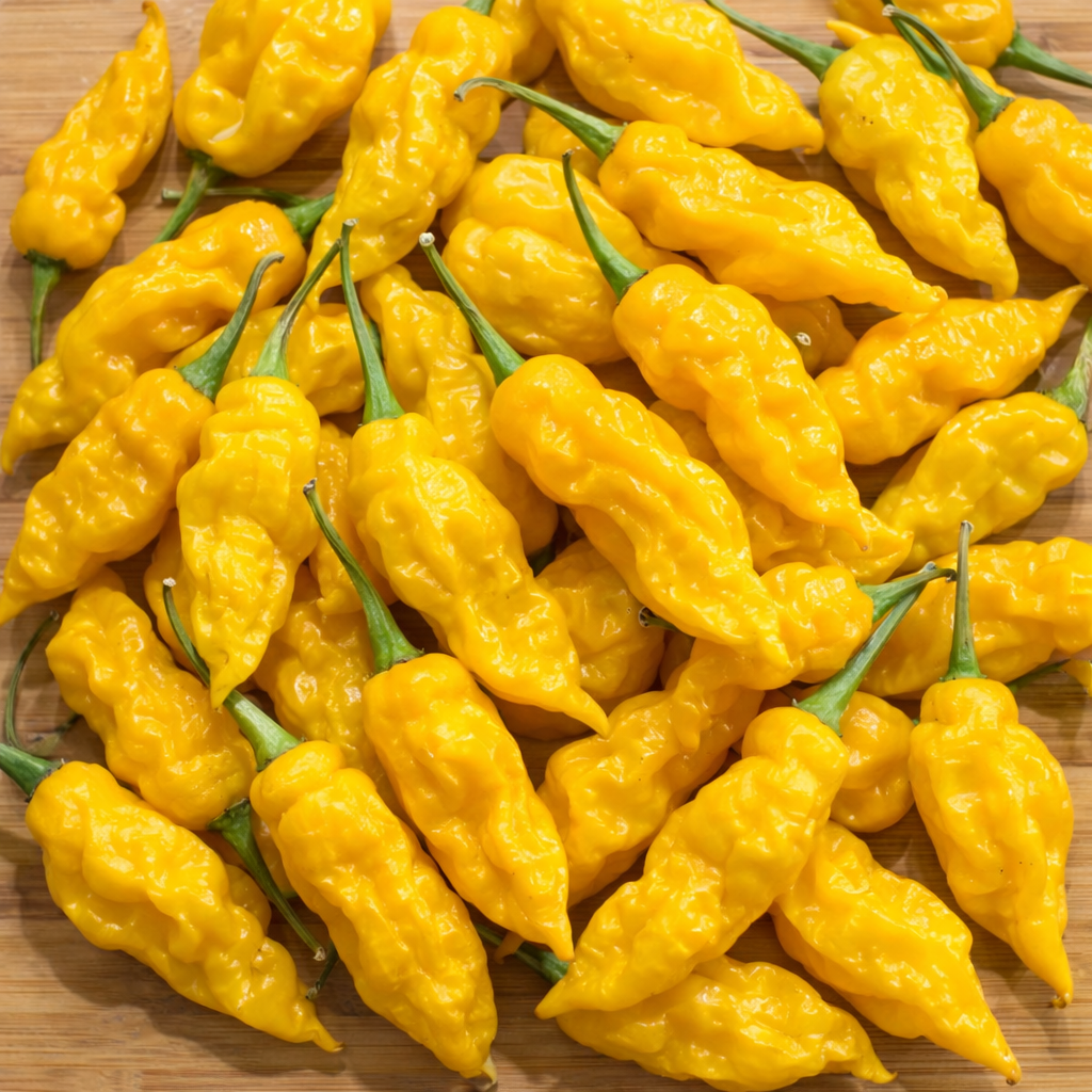 Pepper XXX Yellow Hot Pepper