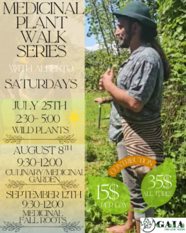 Medicinal Plant Walk Series With Alberto Carbo