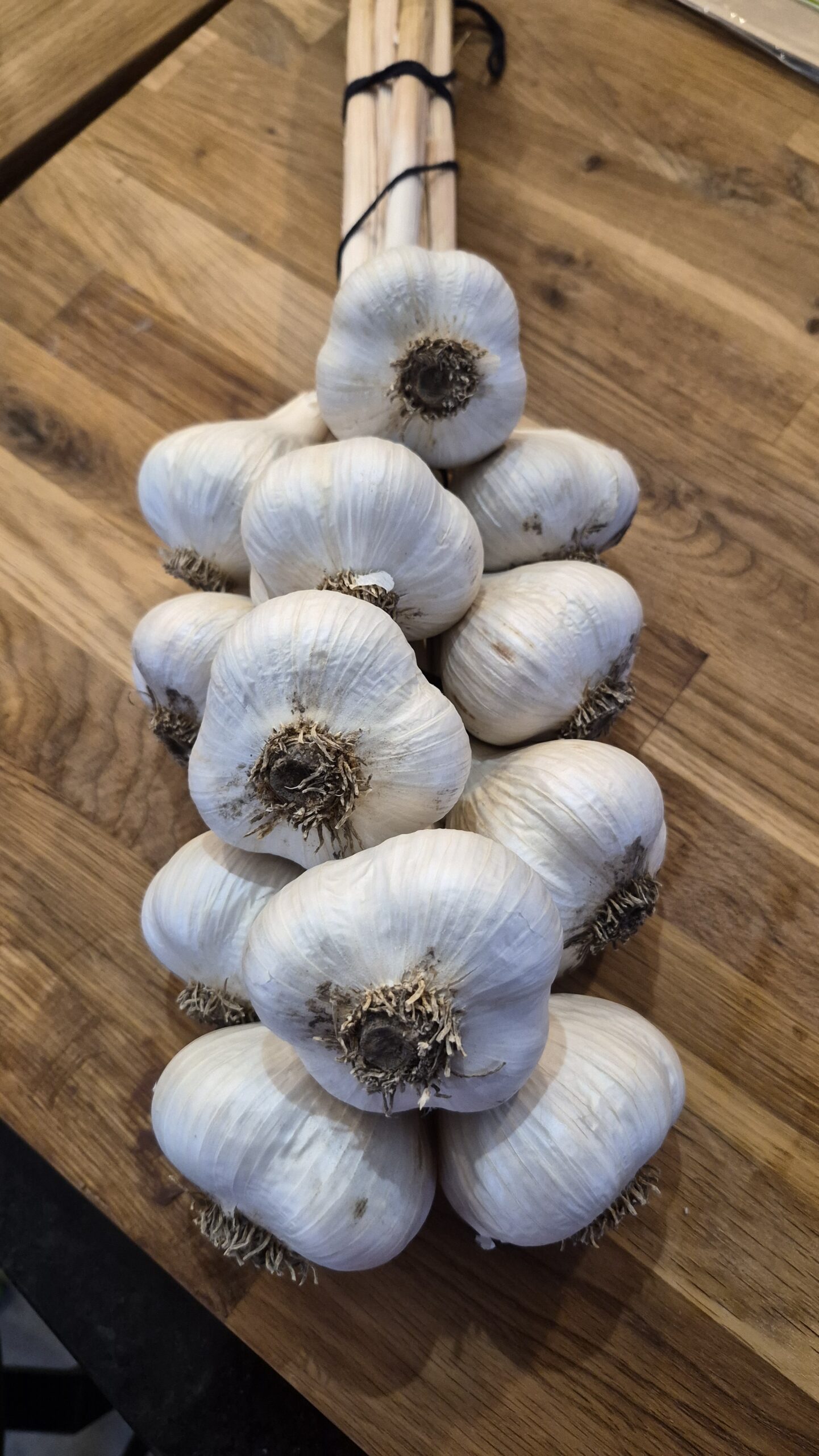 GarlicBraid